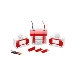 Mini Vertical Electrophoresis cell TRMV-601